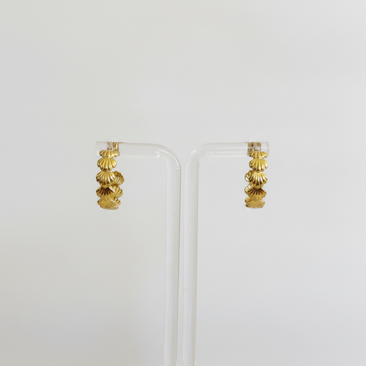 Seashell Hoops - Enhanced